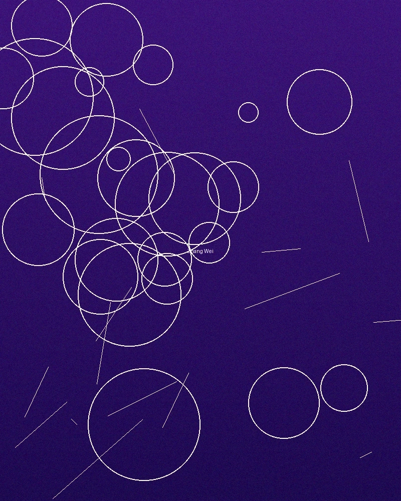 集芳阁首席创作人张导演个人照片