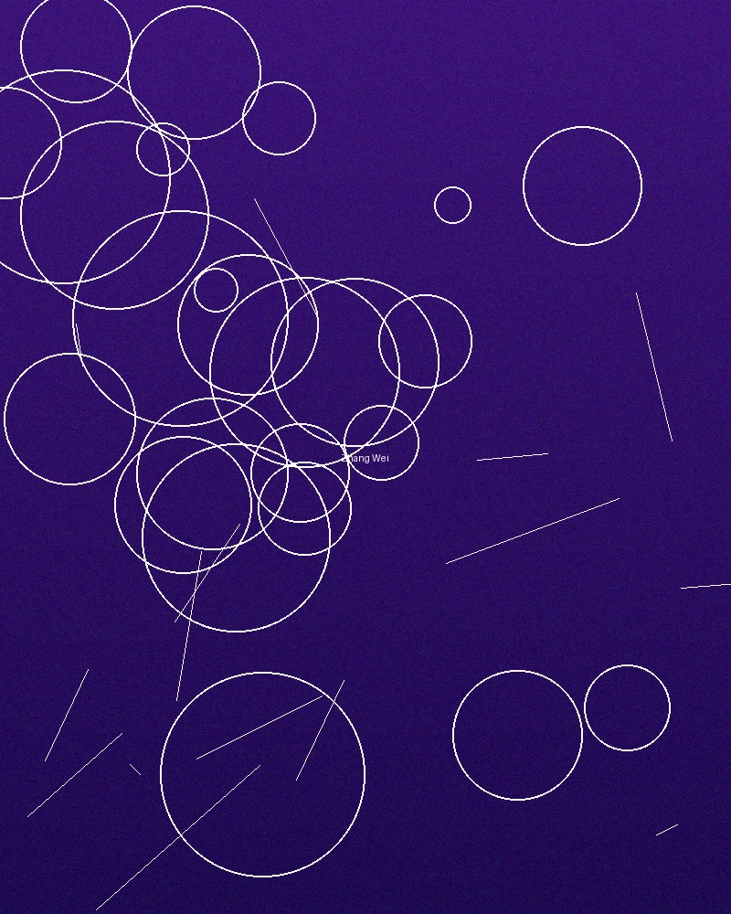 集芳阁首席创作人张导演个人照片